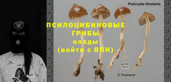 mix Инта