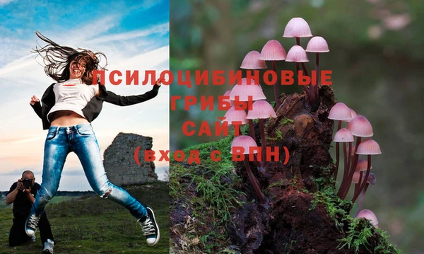 соль ск Иннополис