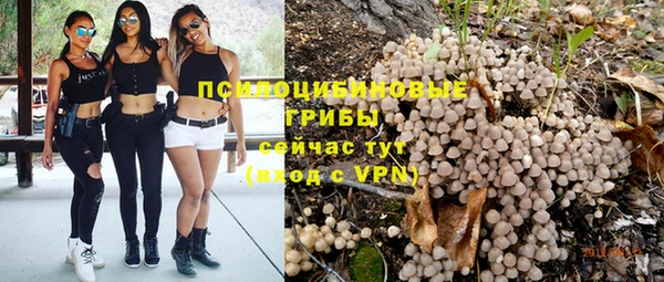 mix Инта