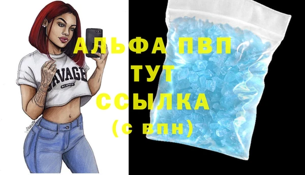 mix Инта